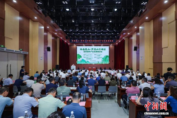 广州发力森林康养：打造全球影响力康养目的地新蓝图