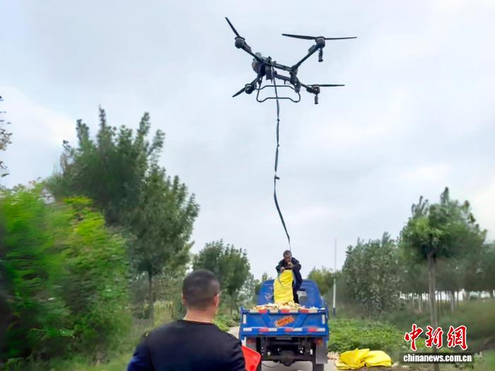 山东抢收抢烘确保秋粮颗粒归仓