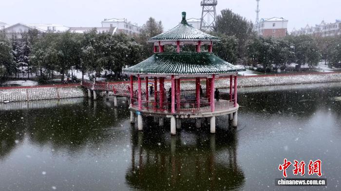 边城呼玛迎今秋首场降雪 金秋美景邂逅银装素裹
