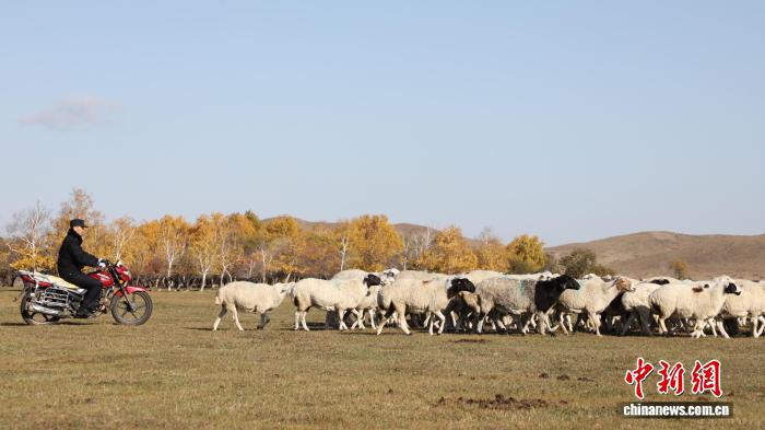 草原上的移动警务室：守护牧民转场11年的“敖特尔”