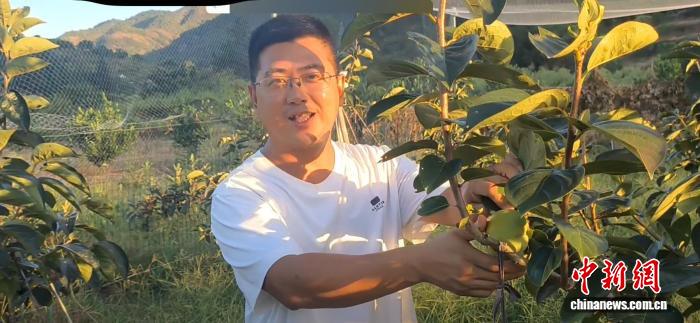 （乡村行·看振兴）浙江临海新农人转型记：“甜蜜事业”助力乡村振兴