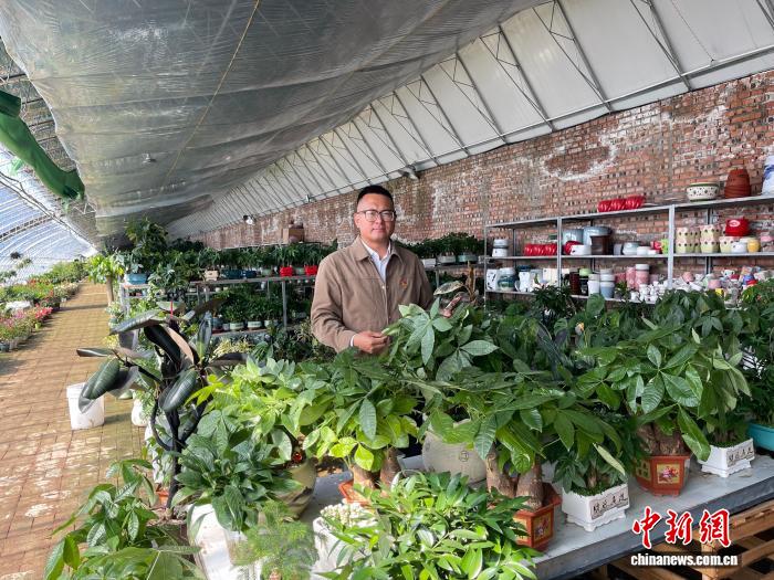 乡村振兴新典范：90后村支书引领花卉产业崛起