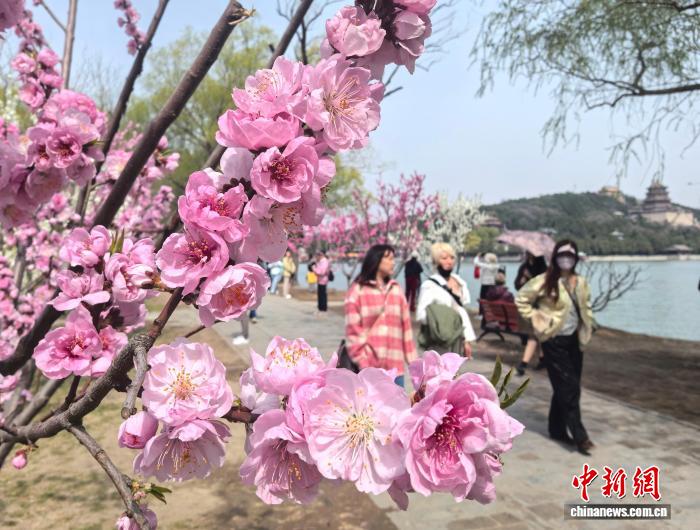 北京725个公园实现无界融通 市民推窗见绿出门进园成常态