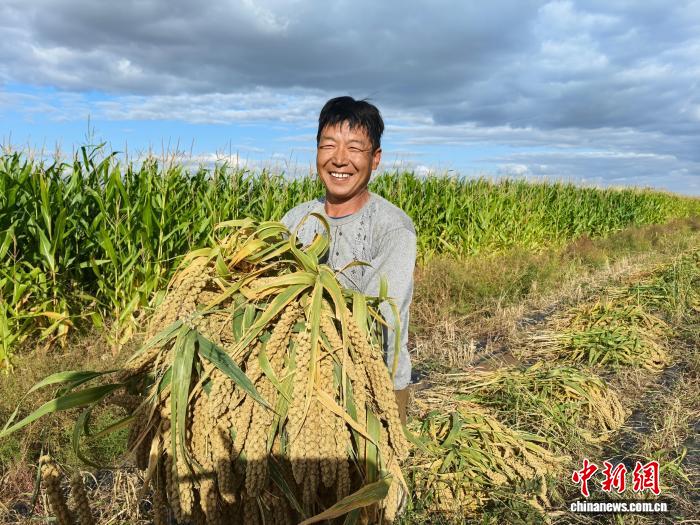 西拉沐沦河畔：杂粮丰收绘就乡村振兴新画卷