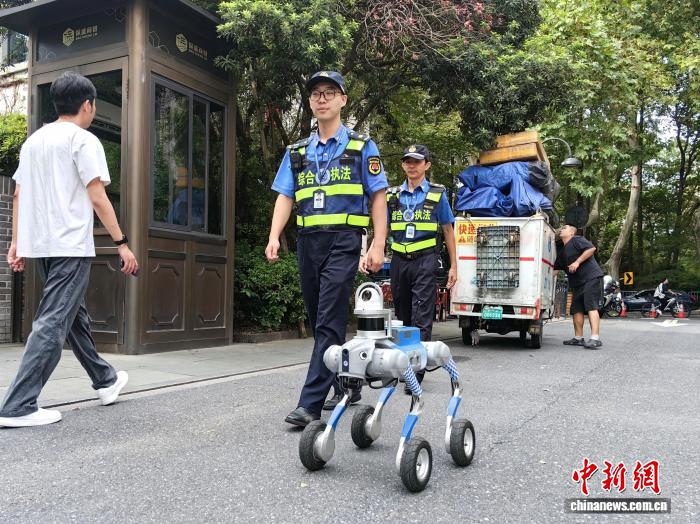 杭州机器狗实战巡检：智能治理新力量亮相清波街道