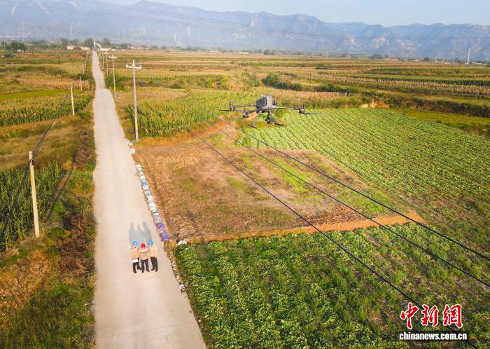 山西临汾：无人机“上岗”为配电网装上“数字翅膀”