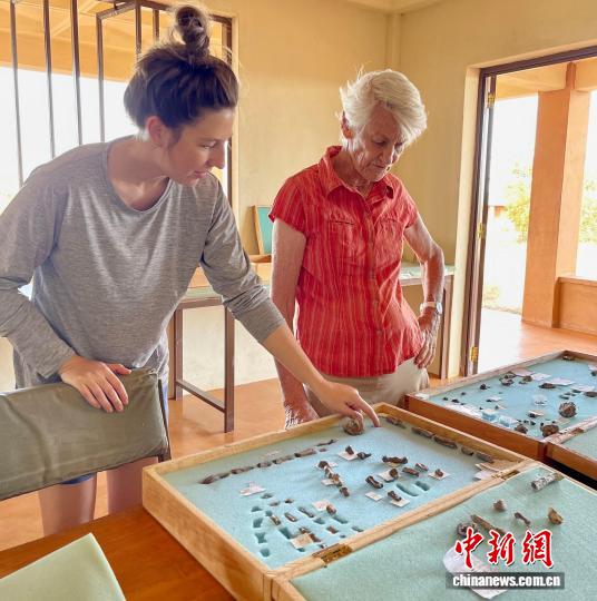 150万年前鲍氏傍人手部化石揭示：古人类如何兼具灵活与力量？