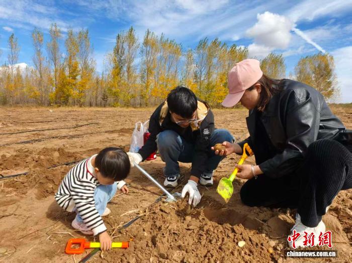 内蒙古“捡秋”走红：游客需要真体验，乡村文旅需要接地气