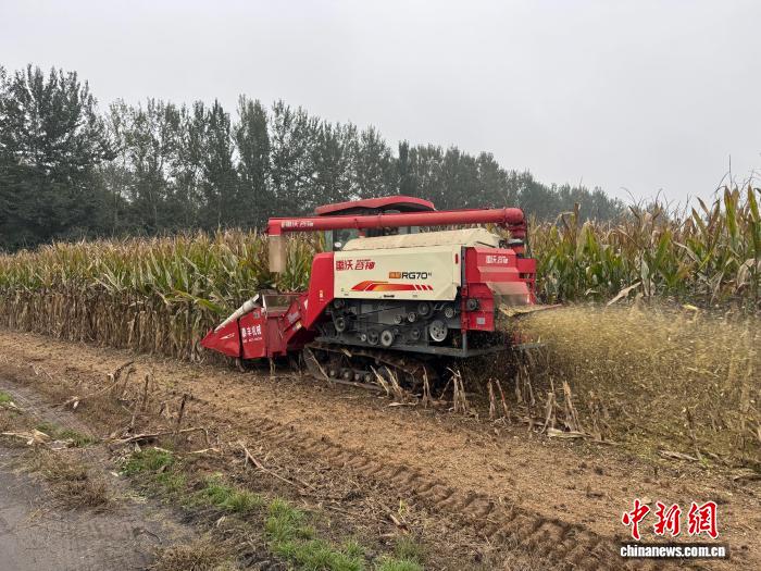 山西上党区抢收秋粮现场