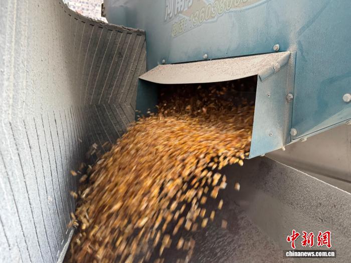 山西上党区粮食烘干中心