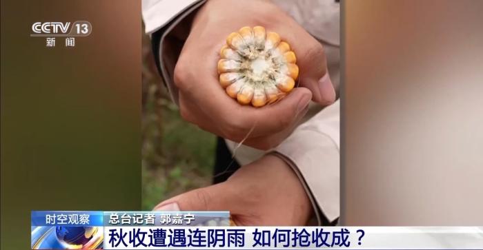 降温降雨对秋收影响大？各地保秋粮措施全解析