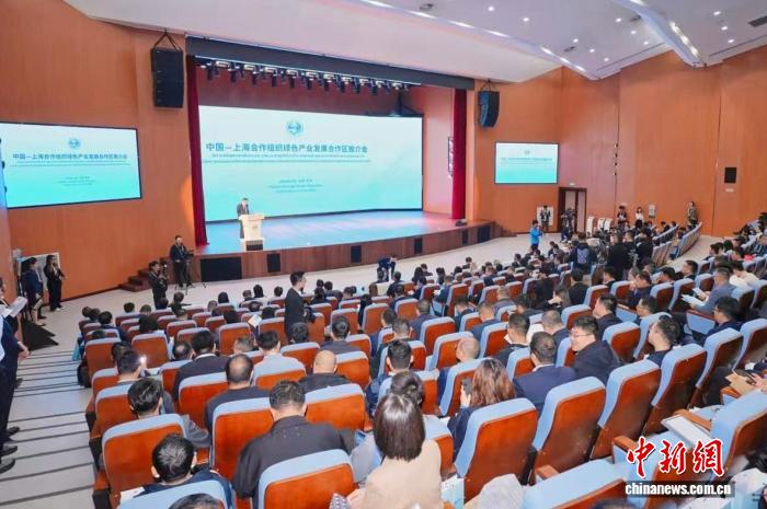 共筑绿色产业新平台 上合组织多国代表天津共绘合作新图景