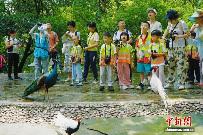 广东率先构建自然教育标准体系 引领全国生态教育创新