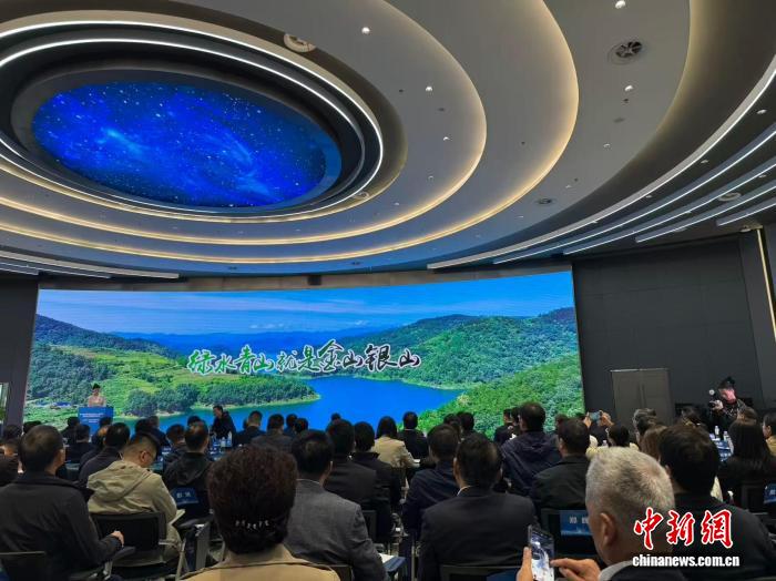 湖北生态环境权益交易平台上线仪式