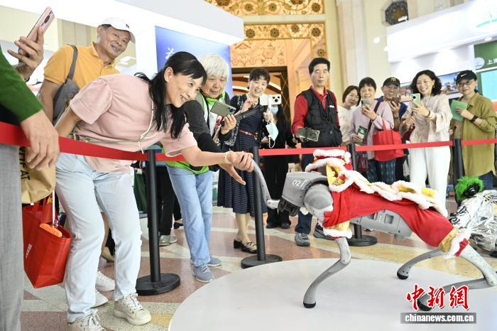 2025上海首届老年学习课程展：创新课程引领银发教育新风尚