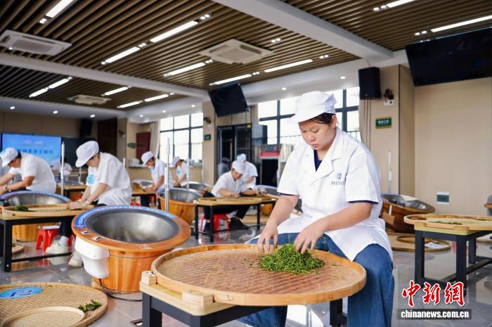 海南中职院校技能竞赛：茶艺、设计等四类赛项展现工匠精神