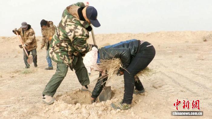 内蒙古阿拉善45年治沙奇迹：一亿亩绿洲守护生态安全