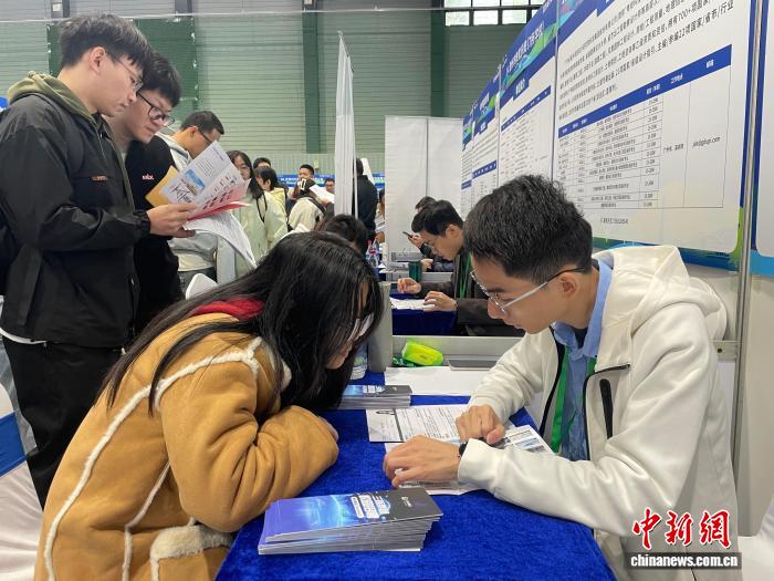 求职者与用人单位深入洽谈