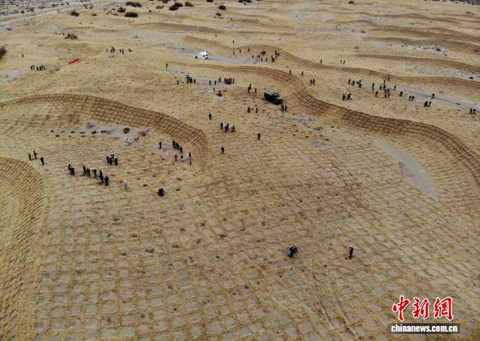 武威生态新貌：雪豹现踪，黄沙变绿洲