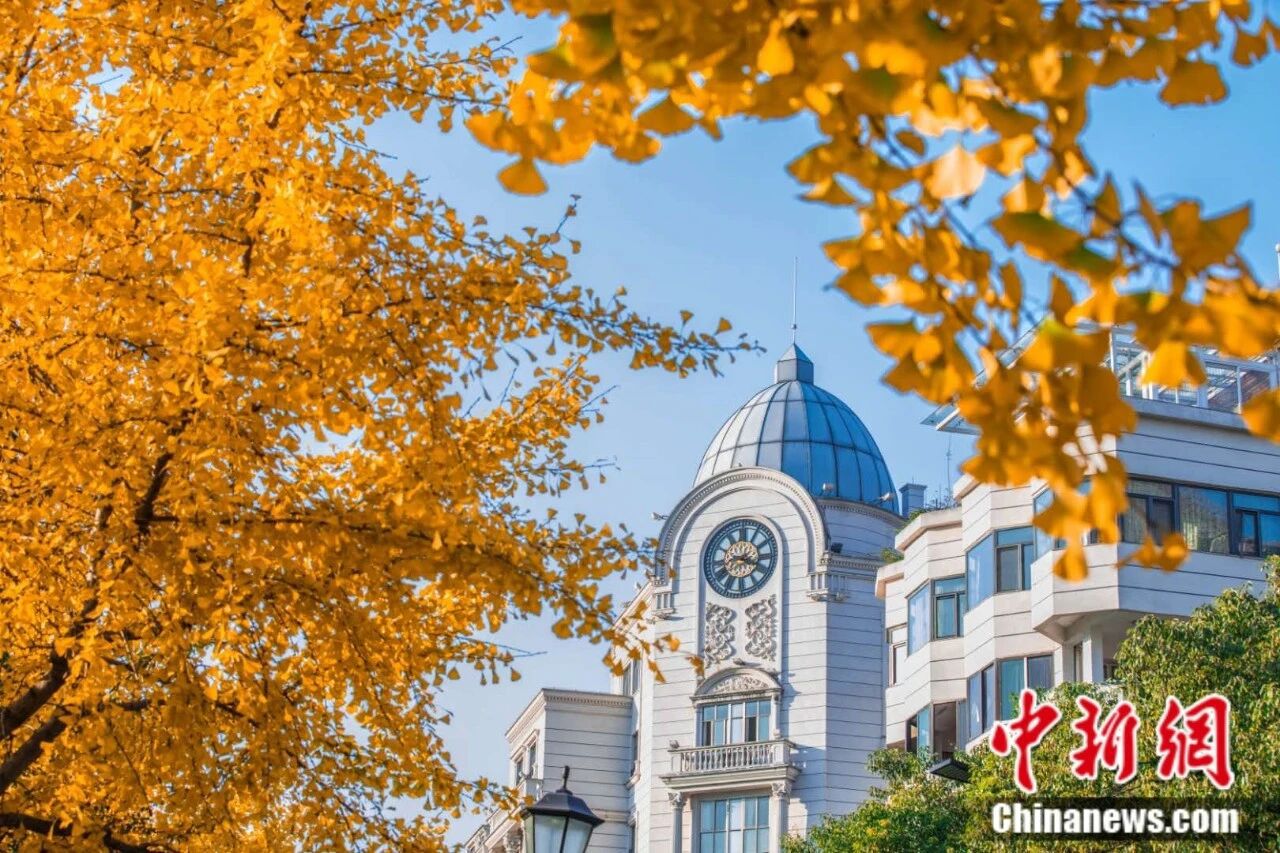 人这一辈子，一定要去一趟侨乡青田！