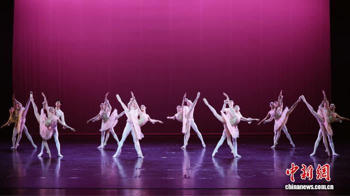 2025北京国际舞蹈院校芭蕾舞赛：全球青年舞者巅峰对决