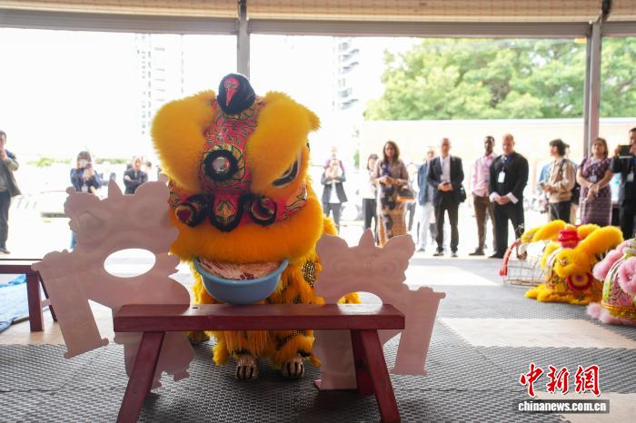 广西柳州少年醒狮队出圈东盟：非遗文化焕发新生