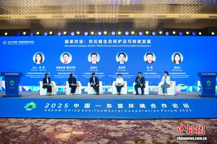 中国—东盟携手推进布氏鲸跨境保护与生态研究合作