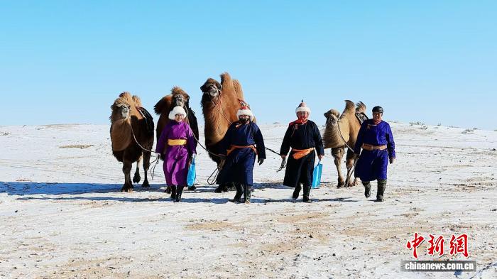 驼铃传递法治温暖：巴图与草原“法治快递队”的故事