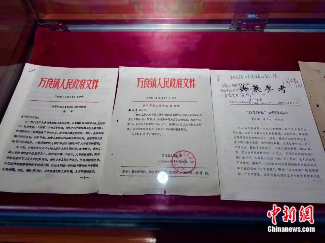 吉林抚松：中国人参之乡的千年传承与现代创新