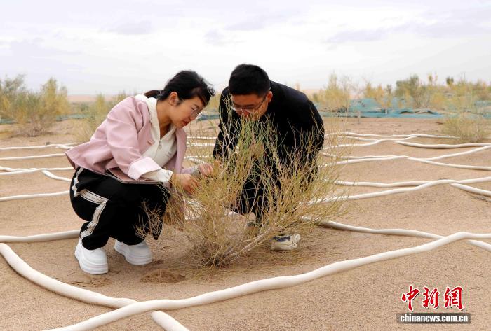 人才引擎发力 风沙前沿民勤生态产业双提升