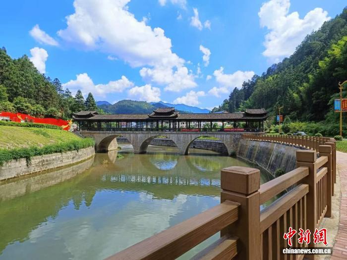 福建宁化：绿竹产业崛起 绘就乡村振兴富民新画卷