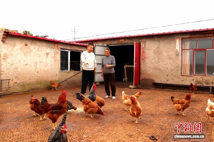 从“迷彩绿”到“乡村绿”：驻村书记陈珂的6年振兴答卷