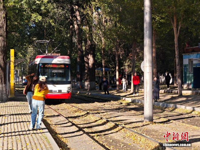 长春6条落叶景观路惊艳亮相 精细管理绘就秋日诗意画卷