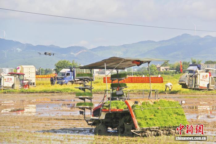 从面朝黄土到机器驰骋 广西智慧农机深耕沃野