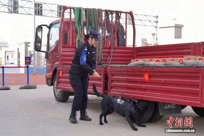 上海边检总站举办2025年警犬实战大比武