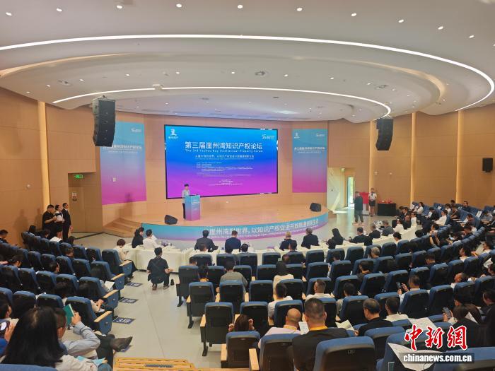 专家建言海南打造中国知识产权事业发展首善之区