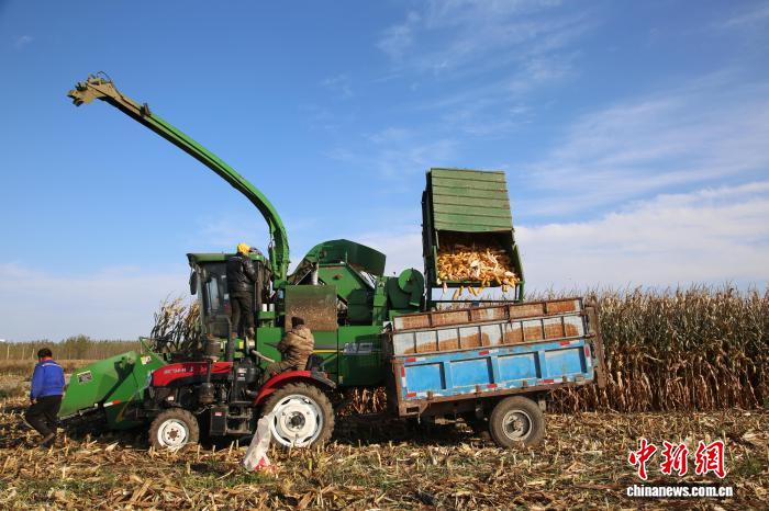 内蒙古东部县农业丰收：机械科技双轮驱动
