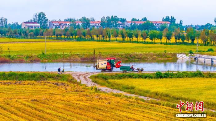 沃野绘新景 湖北襄阳夯实现代农业发展基础