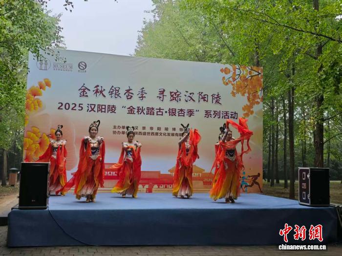 2025汉景帝阳陵博物院金秋银杏季：文化盛宴启幕