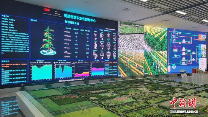 杨凌智慧农业：车间养鱼工厂种菜，重塑旱区农业新模式