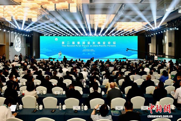 第二届普洱亚太林业论坛盛大启幕 聚焦森林可持续管理