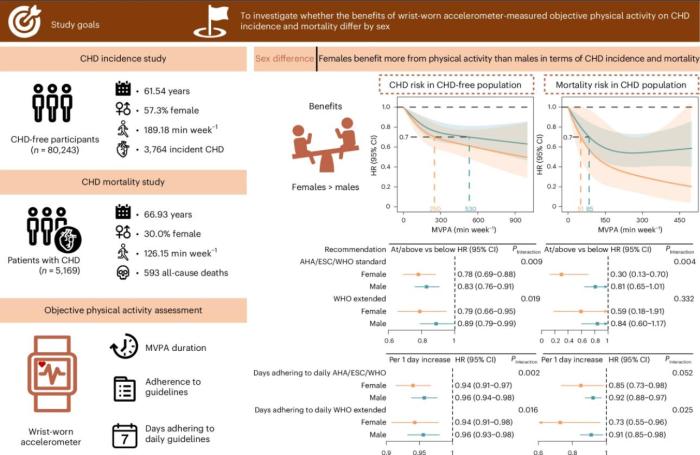 中国研究揭示：女性运动对心脏健康获益显著高于男性