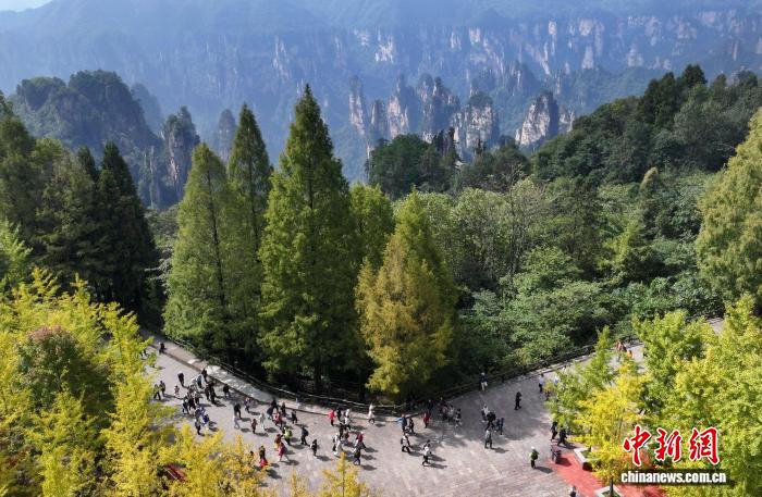 “国际张”全球爆火！张家界入境游客5年激增59倍