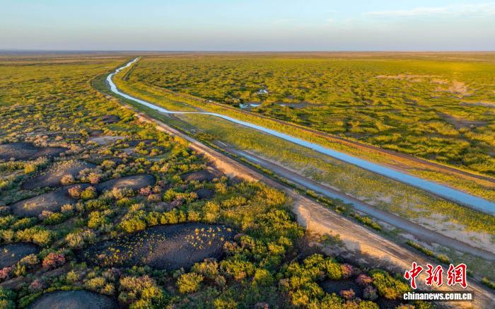 甘肃净土保卫战：守护生态安全，助力大地焕新颜