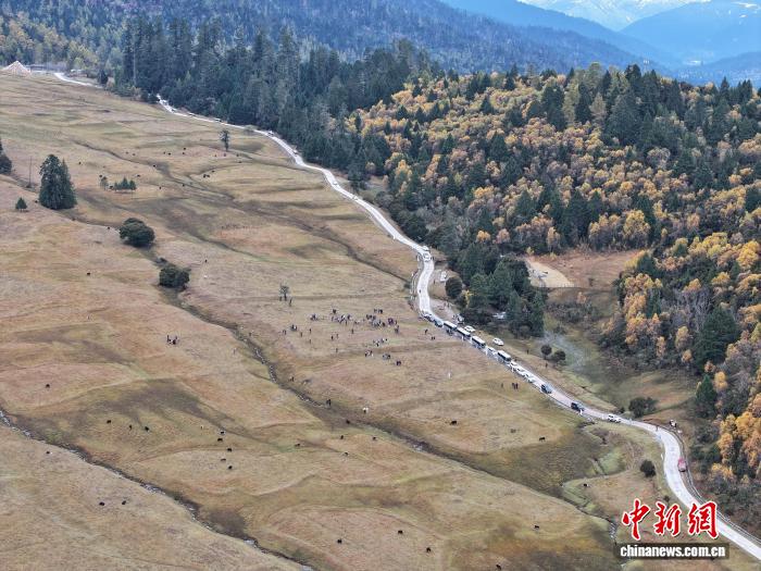外国友人西藏林芝行：惊叹生态之美与发展成就