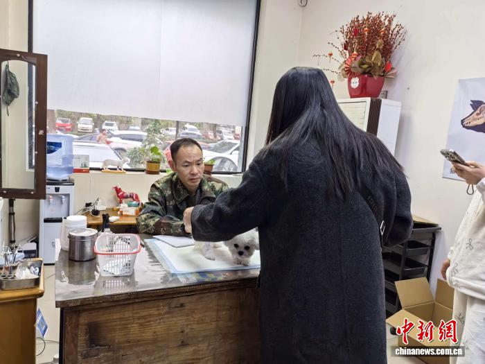 乡村兽医老钱：军旅生涯转型宠物守护者的暖心故事