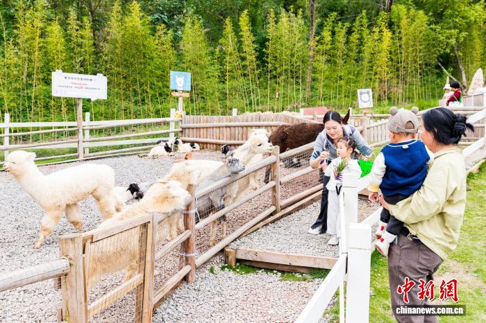 礼嘉渡公园萌宠乐园