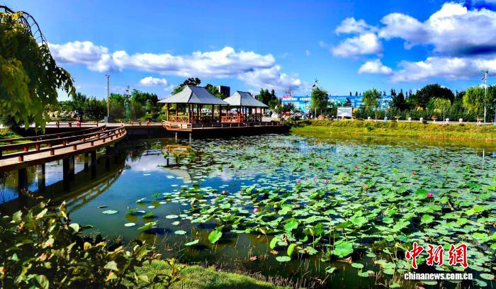集宁城市绿化全景