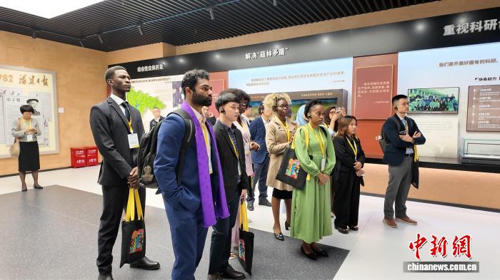 2025年食用菌栽培技术与可持续农业国际培训班学员参观中国食用菌产业展示馆