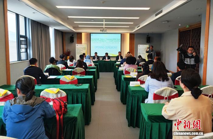 2025国际食用菌栽培与可持续农业培训班在福建古田开班